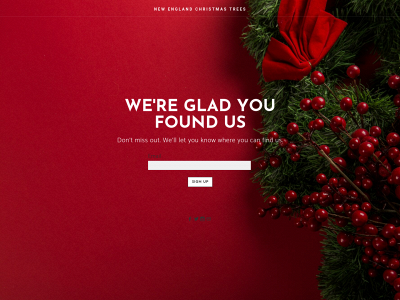 www.nechristmastrees.com snapshot