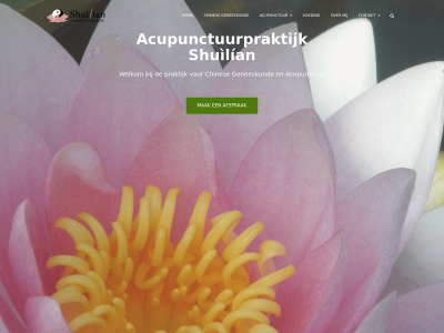 acupunctuurshuilian.com snapshot