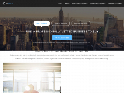 biznexus.com snapshot