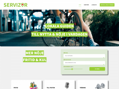 servizor.se snapshot