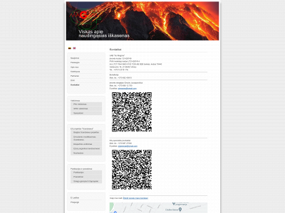gjmagma.lt snapshot