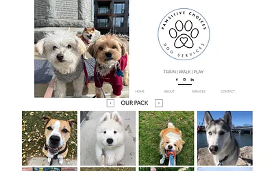 pawsitivechoices.club snapshot