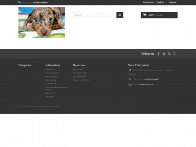lisaship.se snapshot