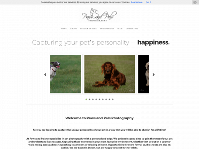 pawsandpals.photography snapshot