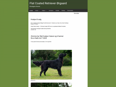 flatcoatedretrieveroergaard.dk snapshot