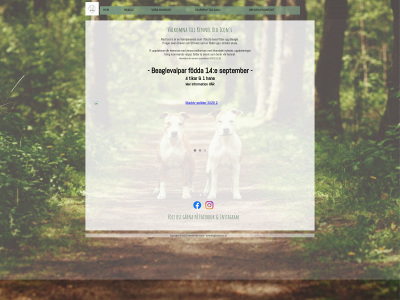 redicons.se snapshot