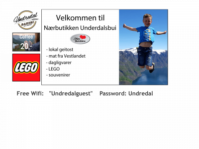 vergerp.online snapshot