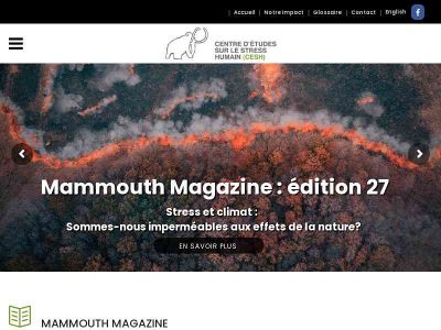 stresshumain.ca snapshot