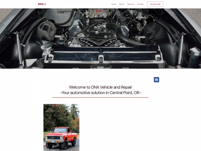 rogueautoexpert.com snapshot