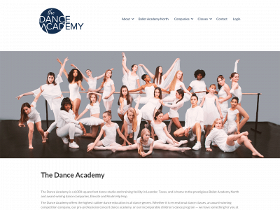 thedanceacademytx.com snapshot