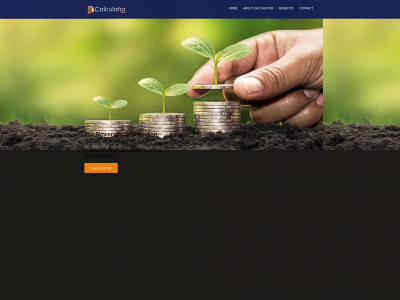 calculator.ceo snapshot