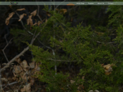 peachtreepooches.com snapshot