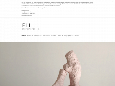 elibenveniste.com snapshot