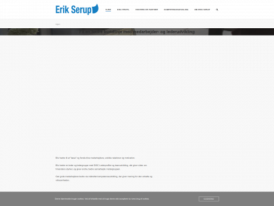 kompetencementor.dk snapshot