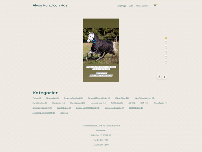 www.alvashundohast.se snapshot