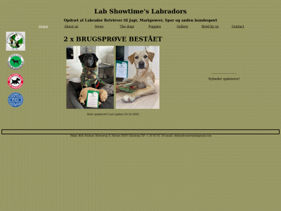 labshowtime.dk snapshot