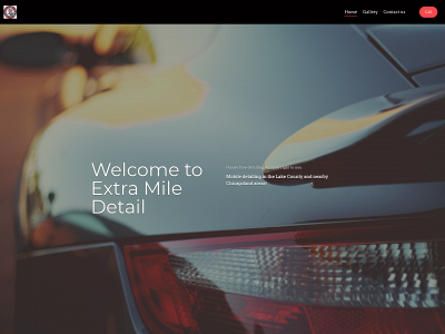 extramiledetail.co snapshot