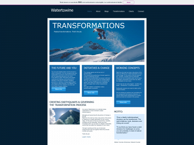 watertowine.fi snapshot