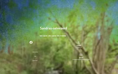 sandras-selvvaerd.dk snapshot