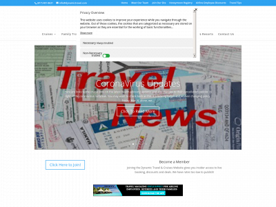 dynamictravel.com snapshot