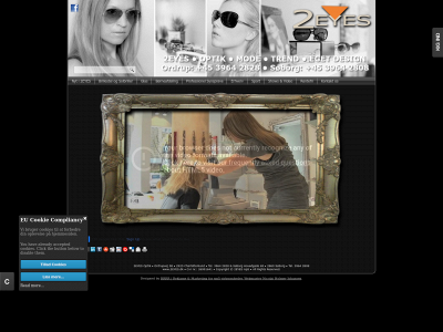 2eyes.dk snapshot