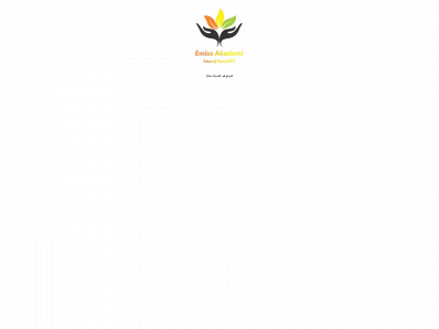 emisa-akademi.com snapshot