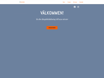 skinow.se snapshot
