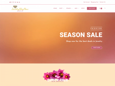 jewelryshopnow.com snapshot
