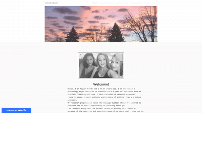 thetaylorbrady.weebly.com snapshot