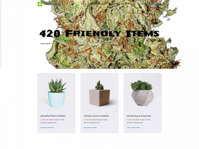 hsflower8596.com snapshot