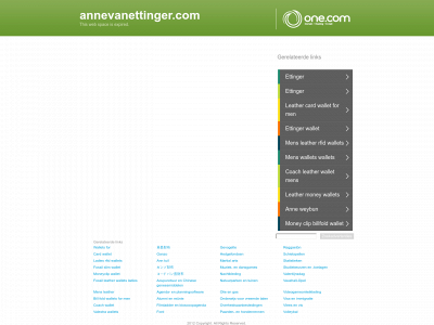 annevanettinger.com snapshot