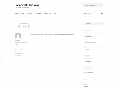 saltandlightshirt.com snapshot