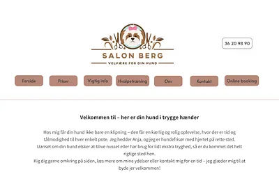 salonberg.dk snapshot