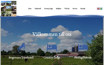 stegemanmaskinstation.com snapshot