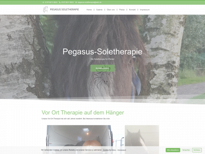 pegasus-soletherapie.de snapshot