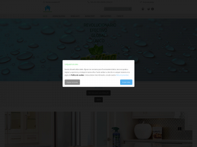 limpiandotodo.com snapshot