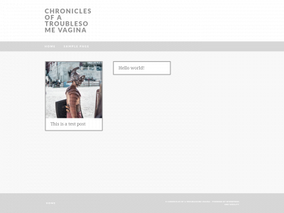 chroniclesofatroublesomevagina.uk snapshot