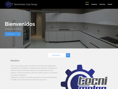 tecnimoles.com snapshot