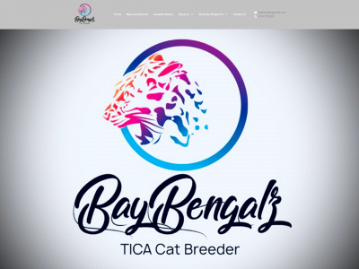 baybengalz.com snapshot