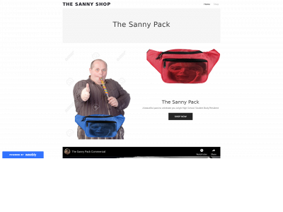 thesannyshop.weebly.com snapshot