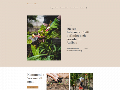 schanzer-bienen.de snapshot