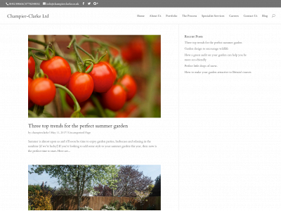 champierclarke.co.uk snapshot