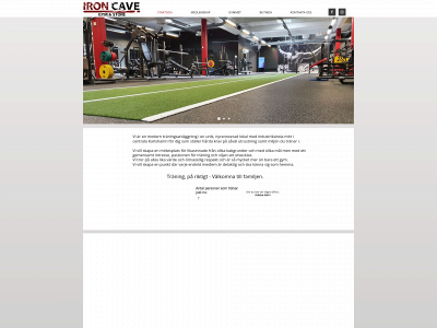 ironcave.se snapshot