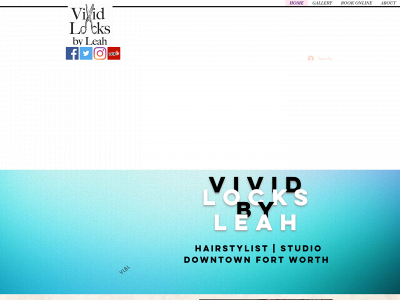 vividlocks.com snapshot