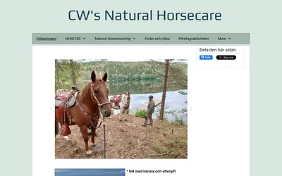 carinawiberg.se snapshot
