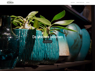soniabloemdecoratie.nl snapshot