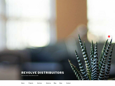 revolvedistributors.com snapshot