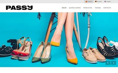 passy.es snapshot