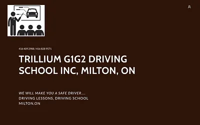 trilliumg1g2drivingschool.ca snapshot