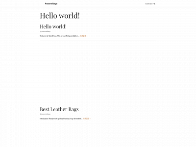 passmeibags.com snapshot